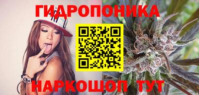 прущие грибы Бугуруслан
