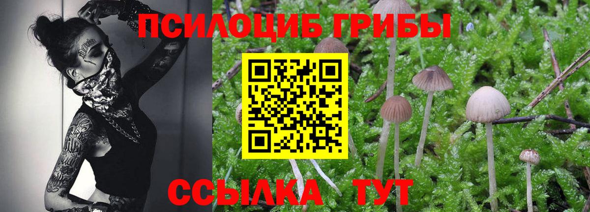 Псилоцибиновые грибы GOLDEN TEACHER Отрадное
