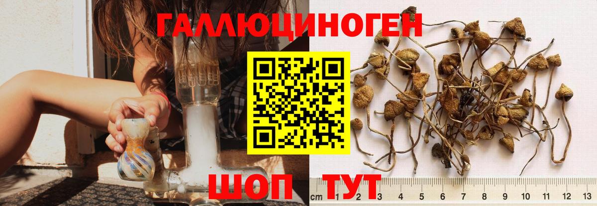 Псилоцибиновые грибы мицелий  Вход с VPN  Отрадное 